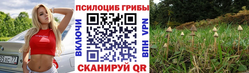 blacksprut где можно купить наркотик darknet телеграм Псилоцибиновые грибы ЛСД Фёдоровский
